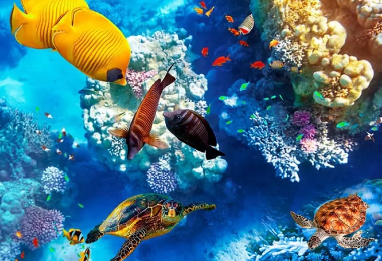 Calm underwater coral reef with a sea turtle drifting past